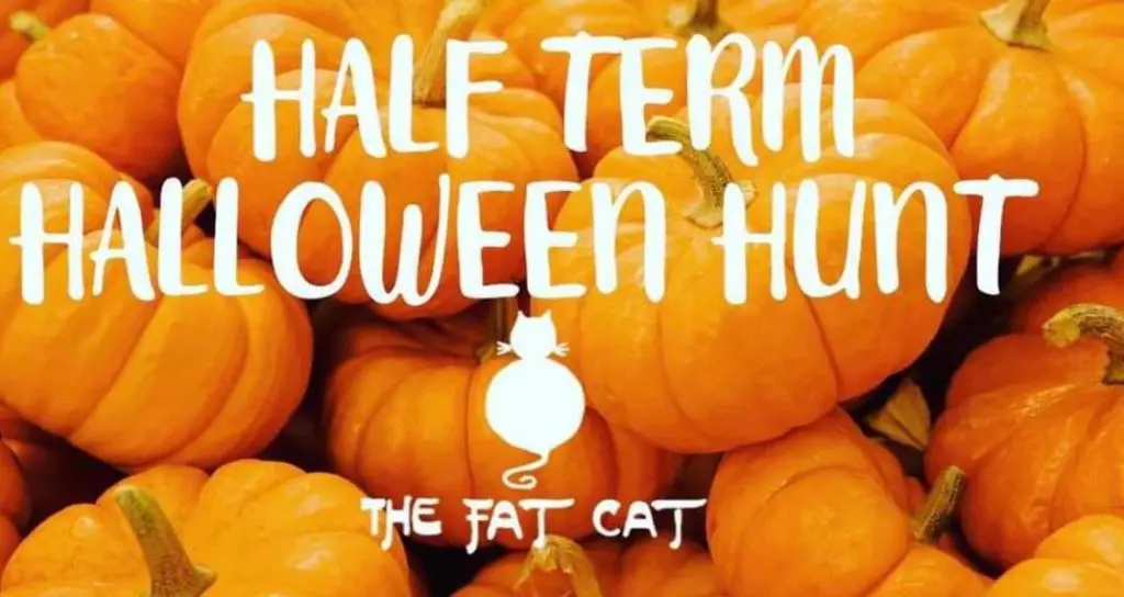 Fat Cat halloween