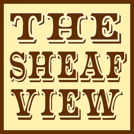 The Sheaf View