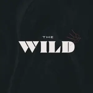 The Wild Studio