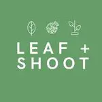 Leaf and Shoot